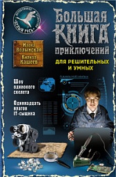 Большая книга приключений для решительных и умных Волынская Илона, Кащеев Кирилл