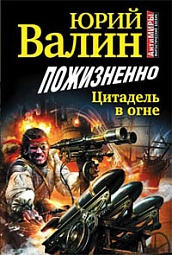 Пожизненно. Цитадель в огне Валин Юрий